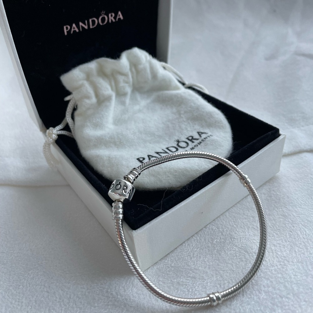 Pandora moments snake chain bracelet